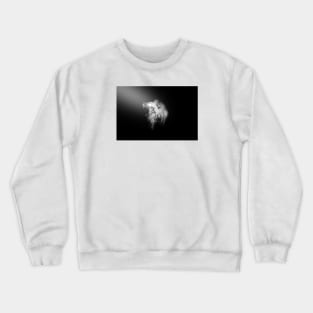 Lion in the Spotlight 4/4/22 / Swiss Artwork Photography Crewneck Sweatshirt